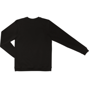 Свитшот пример изделия