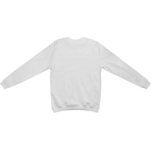 Свитшот пример изделия