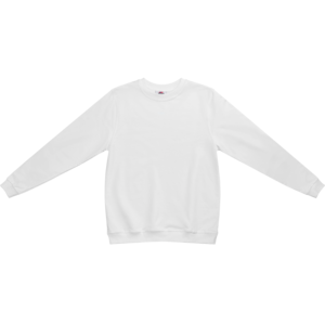 Свитшот пример изделия